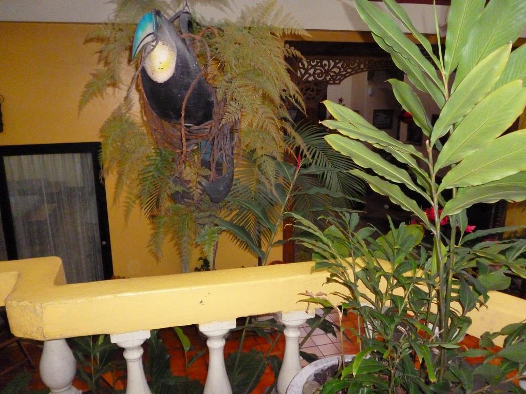 Hotel Don Carlos سان هوزيه المظهر الخارجي الصورة